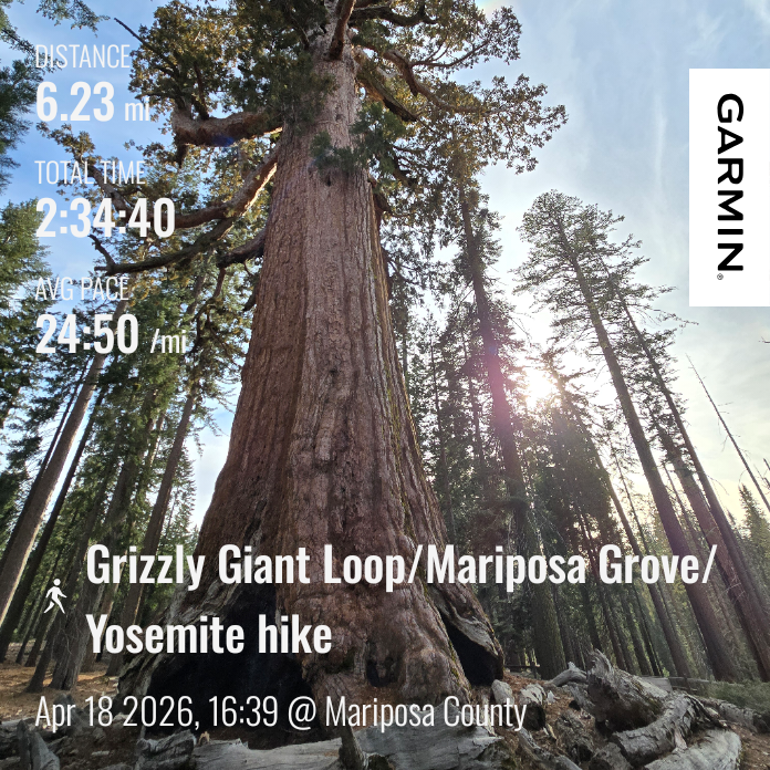 Grizzly Giant Loop Trail hike stats