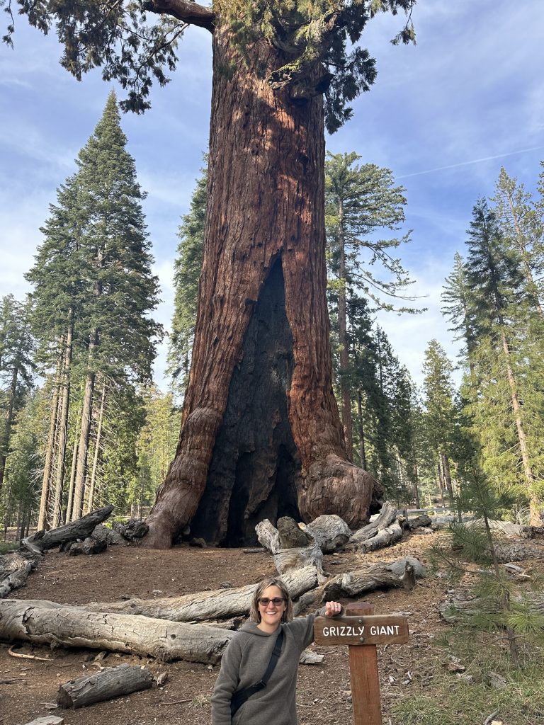 Standing in front of Grizzly Giant tree in Mariposa Grove