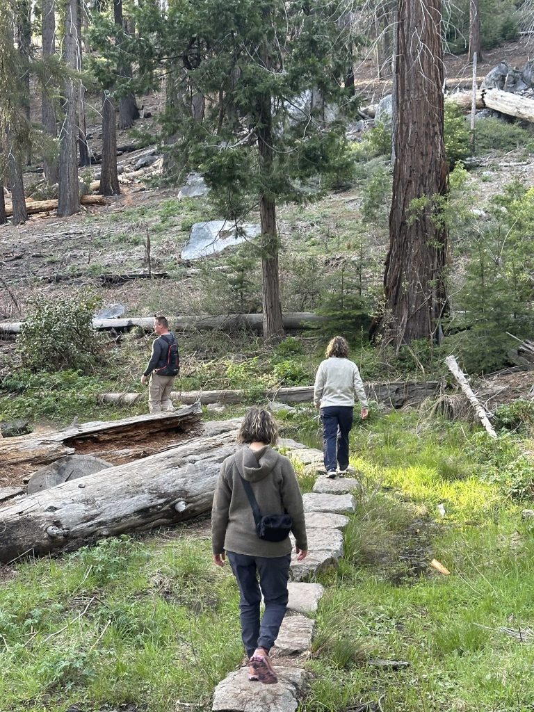Walking on stepping stones on the Grizzly Giant Loop Trail in Mariposa Grove